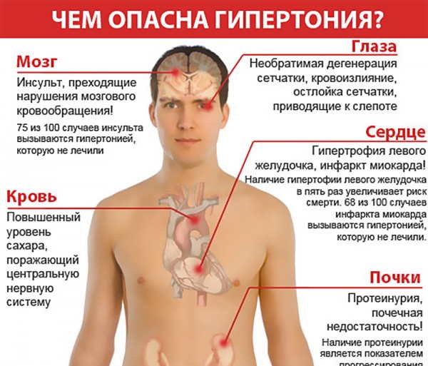 инфографика об опасности гипертонии